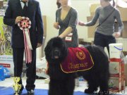 Превью фото № 173449