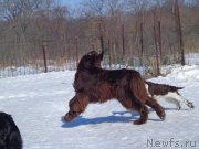 Превью фото № 173508