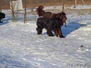 Превью фото № 173580