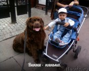 Превью фото № 173599