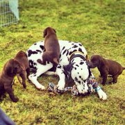 Превью фото № 173605