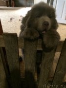 Превью фото № 173630