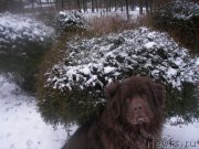 Превью фото № 173653