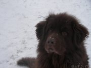 Превью фото № 173654