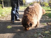 Превью фото № 173656