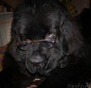 Превью фото № 173670