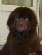 Превью фото № 173682