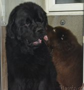 Превью фото № 173684