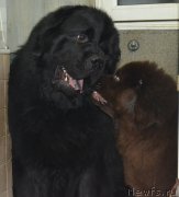 Превью фото № 173685