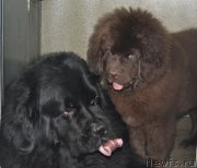 Превью фото № 173687