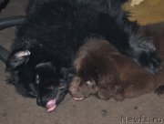 Превью фото № 173688