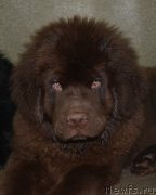 Превью фото № 173690