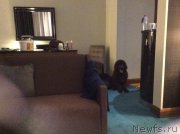 Превью фото № 173729