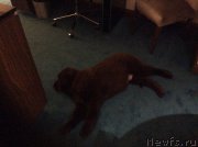 Превью фото № 173730