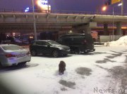 Превью фото № 173746