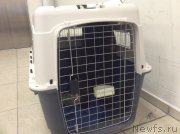 Превью фото № 173748