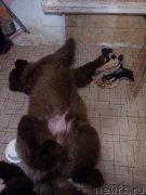 Превью фото № 173777