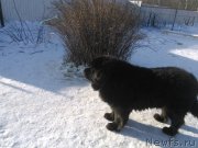 Превью фото № 173785