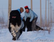 Превью фото № 173813