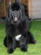 Превью фото № 173835