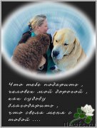 Превью фото № 173878