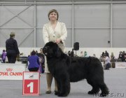 Превью фото № 173888