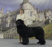 Превью фото № 173889