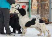 Превью фото № 173899