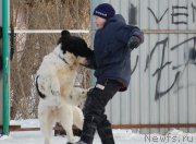 Превью фото № 173908