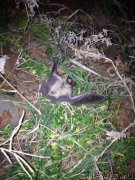 Превью фото № 173942