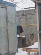 Превью фото № 173944