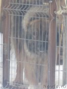 Превью фото № 173946