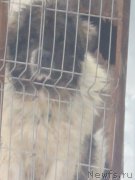 Превью фото № 173947