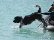 Превью фото № 173967