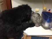 Превью фото № 173974