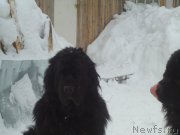 Превью фото № 173979