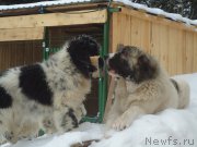 Превью фото № 173986