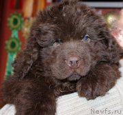 Превью фото № 174033