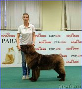 Превью фото № 174047