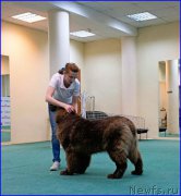 Превью фото № 174049