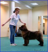 Превью фото № 174052