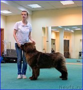 Превью фото № 174053