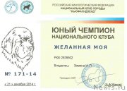 Превью фото № 174089