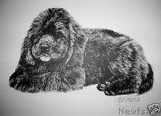 Превью фото № 174132