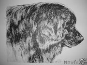 Превью фото № 174133