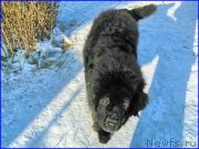 Превью фото № 174174