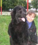 Превью фото № 17418