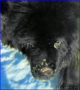 Превью фото № 174180