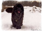 Превью фото № 174181