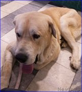 Превью фото № 174201